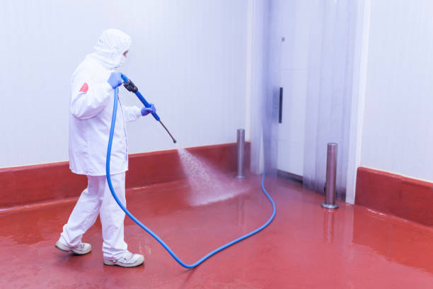 Best Fleet Vehicle Washing  in Leesburg, FL
