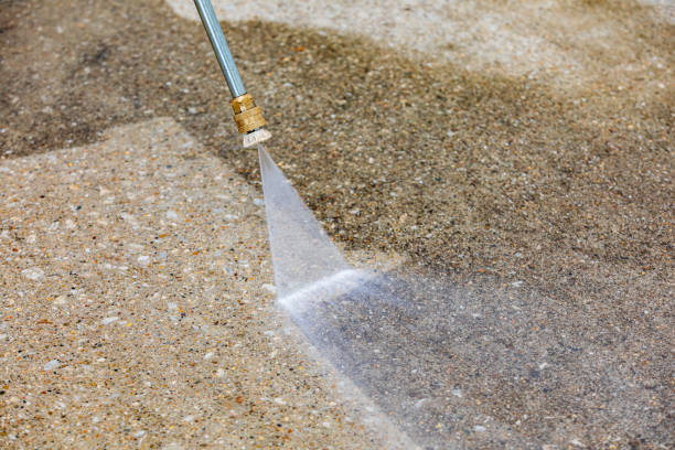 Boat and Dock Cleaning in Leesburg, FL